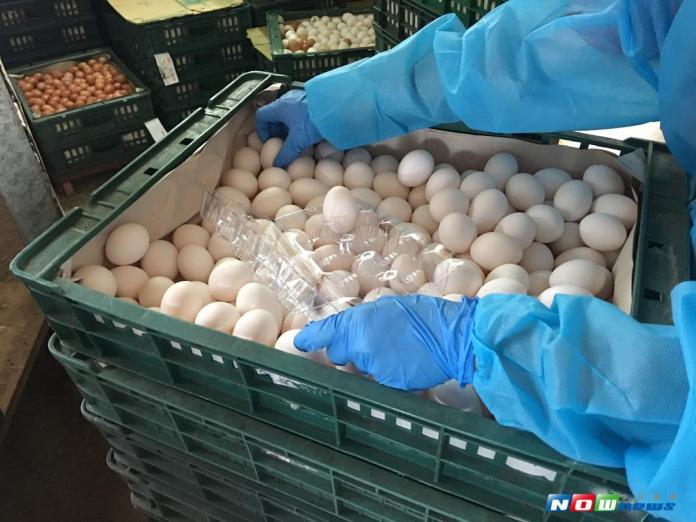 芬普尼蛋風暴延燒，農委會與食藥署組成的跨部會小組昨（29）日晚間表示，目前仍有6萬顆雞蛋流向不明。（資料圖／記者陳雅芳翻攝，2017.8.22）