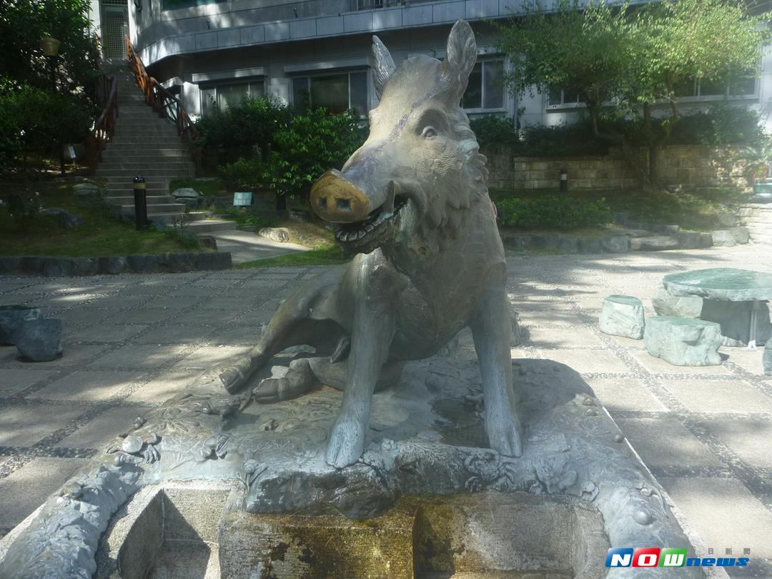 ▲每年情人節時，到谷關旅遊的情侶都不忘到神木谷中撫摸這座「姻緣豬」雕塑。（圖／記者黃玿琮攝2017.8.28）