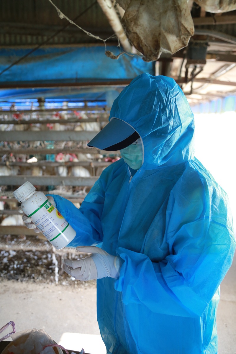 ▲嘉義縣蛋雞場芬普尼含量檢驗，計有7處蛋場芬普尼殘留超過5ppb，縣府即予管制與封存。（圖／嘉義縣政府提供 , 2017.08.25）