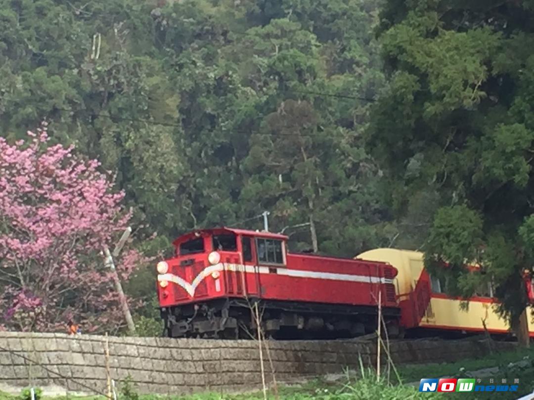 林務局嘉義林區管理處因應天鴿颱風動向，宣布阿里山森1林鐵路22、23日全線列車停駛。（圖／記者陳鐘聲攝 , 2017.08.21）