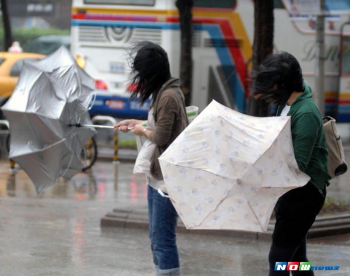 今日天氣／「天鴿」撲台　嚴防強風降雨
