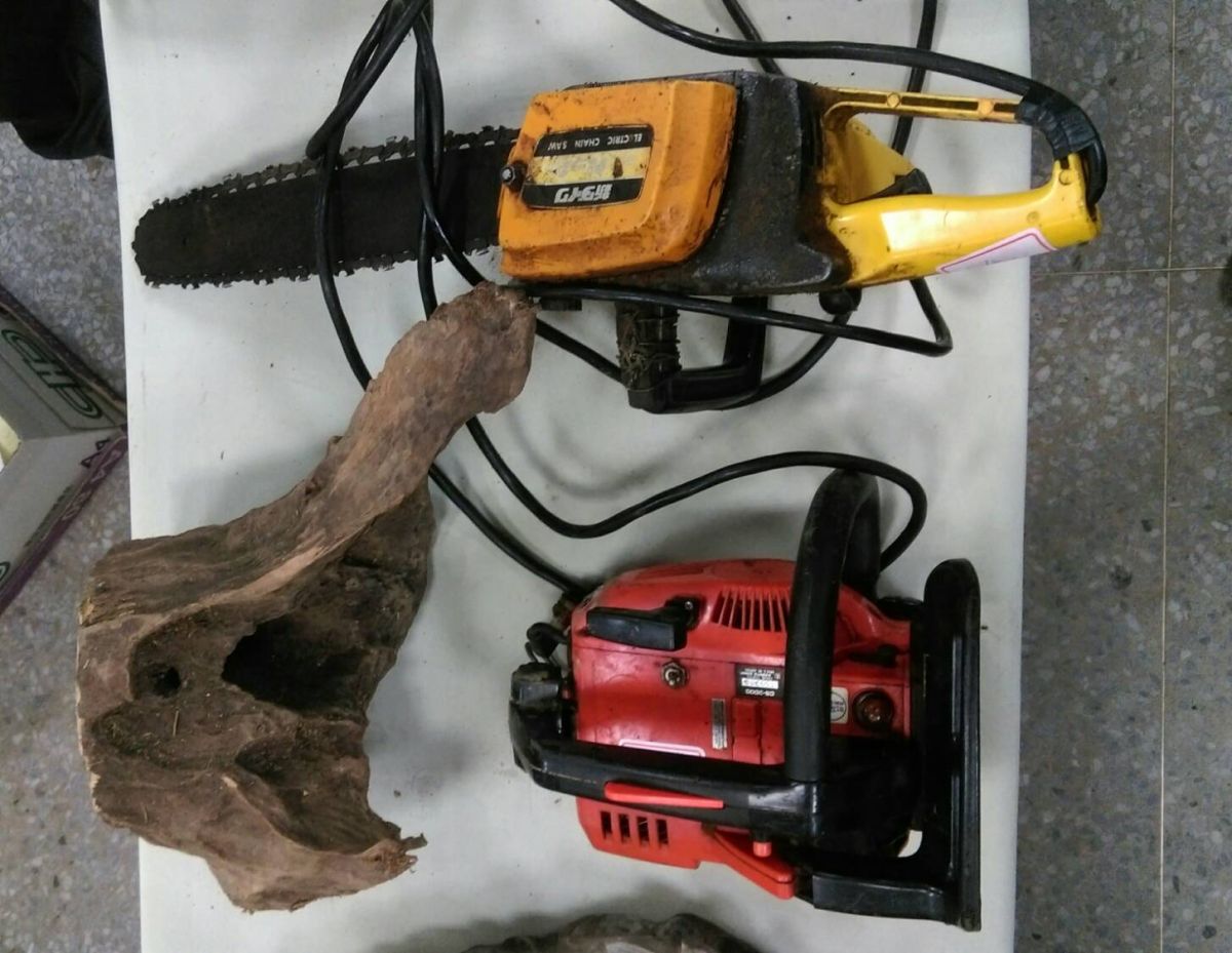 嫌犯盜伐牛樟木香氣瀰漫，引來警察人贓俱獲。（圖／橫山分局提供 , 2017.08.17）