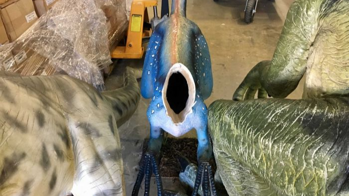 ▲5日晚，澳洲國立恐龍博物館裡有3隻迅猛龍模型遭神秘破壞者斬首（圖／翻攝自abc.net.au）