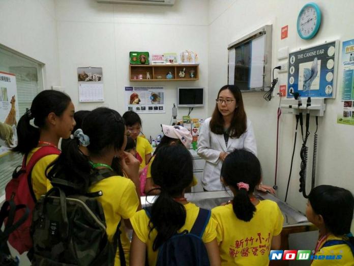 竹市府舉辦小小獸醫營，生命教育向下紮根。（圖／記者陳志偉攝，2017.08.07）
