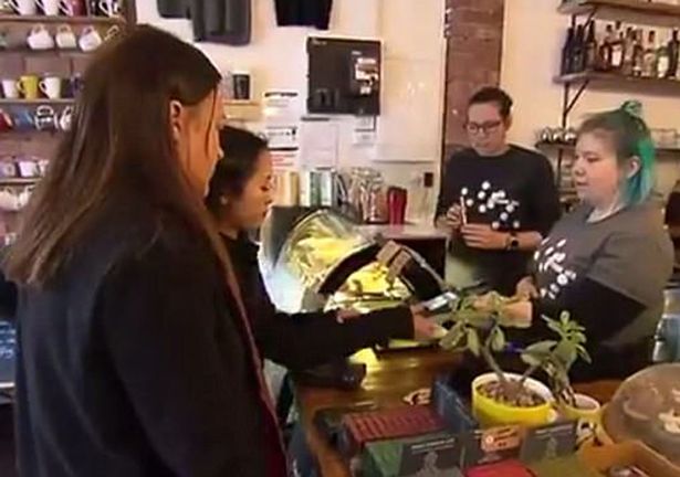 ▲男女不同價，澳洲咖啡店呼籲性別歧視。（圖／翻攝自鏡報）