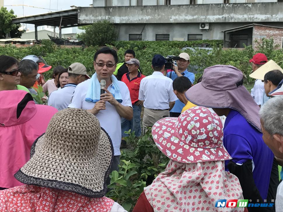 社頭鄉芭樂遭「番石榴根瘤線蟲」危害相當嚴重，台中區農改場埔里分場長陳俊位向農友說明病因和防治方法。（圖／記者陳雅芳攝，2017.8.3）
