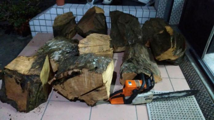 山老鼠盜伐11大塊牛樟木，市價近5萬元。（圖／竹東分局提供, 2017.08.03）
