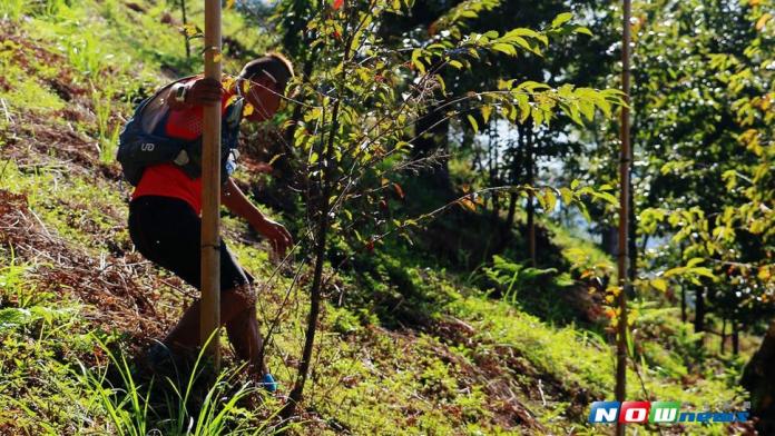 最「夯」賽事　複合式山地越野自我挑戰
