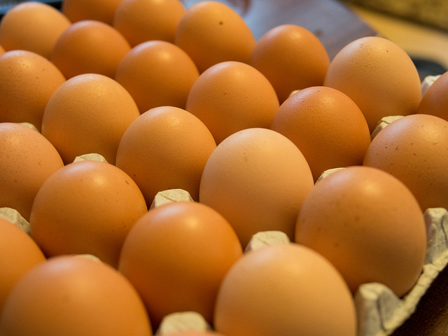▲國產雞蛋傳有驗出雞蛋含有農藥「芬普尼」，農委會啟動24小時全台蛋雞場抽驗。（示意圖／翻攝自flickr）