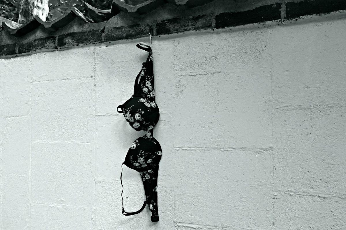 ▲新北一名男子用釣竿勾走多件性感內衣褲，還穿上街被警察發現。（示意圖／翻攝自Pixabay）