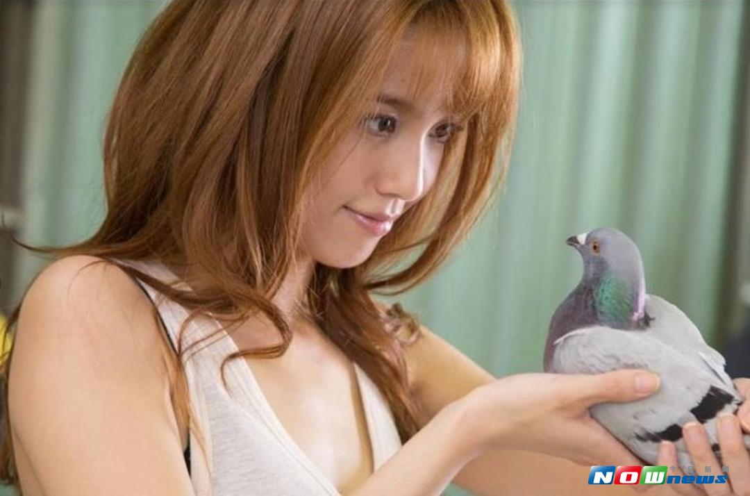 ▲陳庭妮在片中和賽鴿一起演戲。（圖／穀得，2017.09.17）