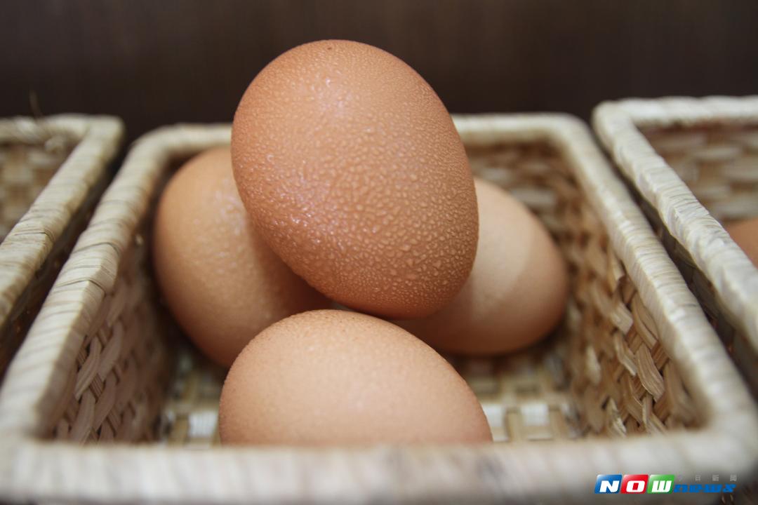 ▲君達集團投入有機產業已逾20年，目前全力推廣有機蛋，來因應現在有毒雞蛋的困境。（圖／記者鄭志宏攝,2017.09.15）