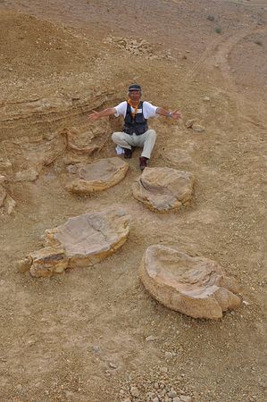 研究人員在戈壁沙漠發現超大恐龍痕跡化石。（圖／國際中心翻攝）