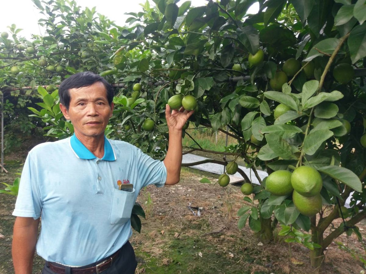 ▲屏東竹田產銷班13班班長李正和號召種植檸檬的村民申請產銷履歷。（圖／記者陳宗傑翻攝,2017.09.08）