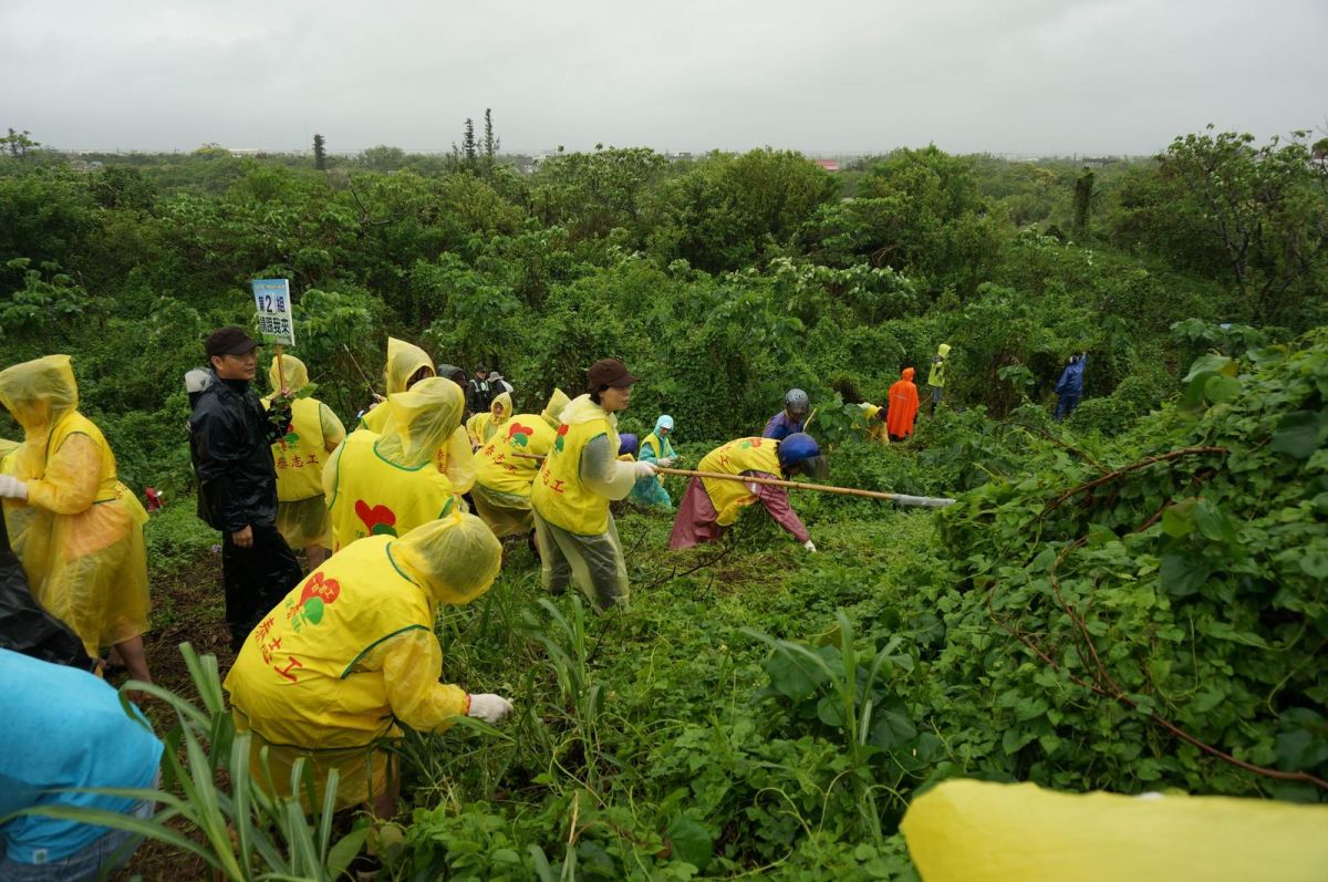 ▲民眾冒雨清除小花蔓澤蘭。（圖／記者李清貴翻攝 , 2017.09.02）