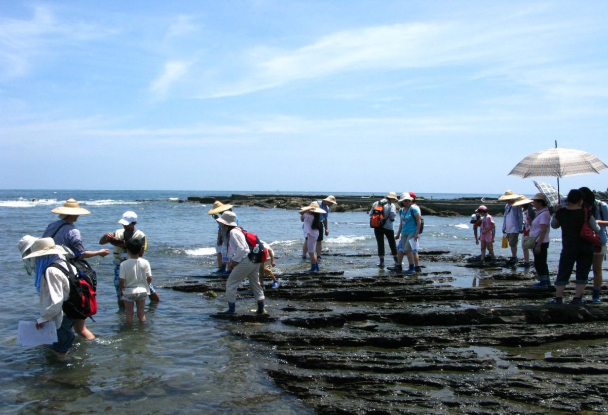 ▲馬崗潮間帶又稱為魔鬼洗衣板，蘊藏多種海洋生物且生態資源豐富，是親子體驗潮間帶生態的好去處！（圖／新北市政府漁業及漁港事業管理處提供）