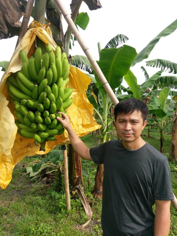 ▲藍明正選擇自己的專業種香蕉，大家的共識就是要種有機。（圖／記者陳宗傑翻攝,2017.09.01）