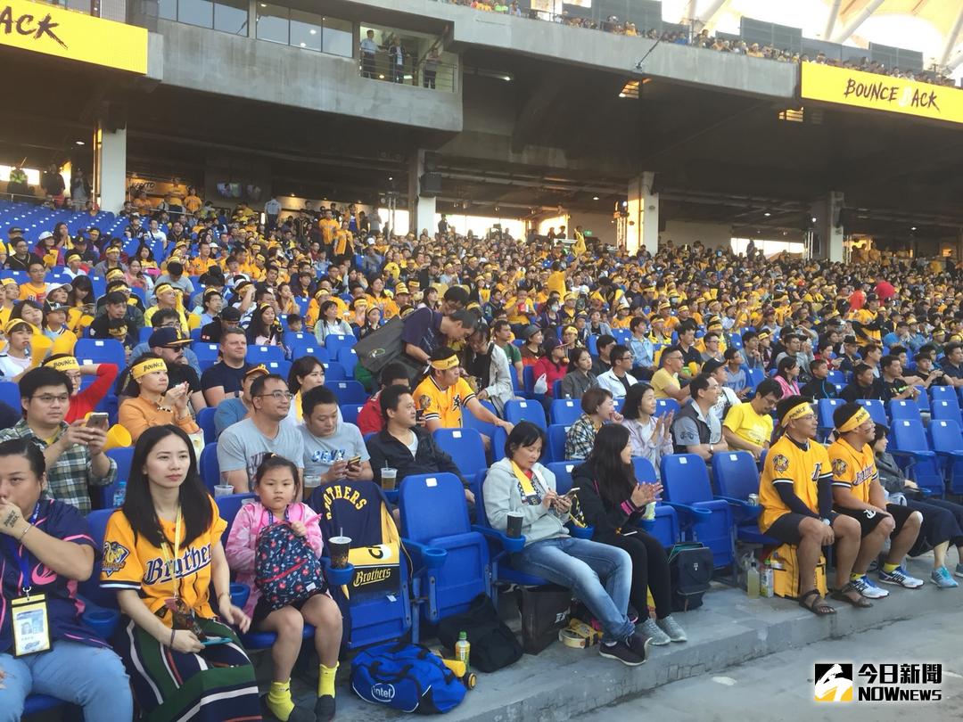 ▲中信兄弟球迷熱情支持（圖／吳政紘攝）