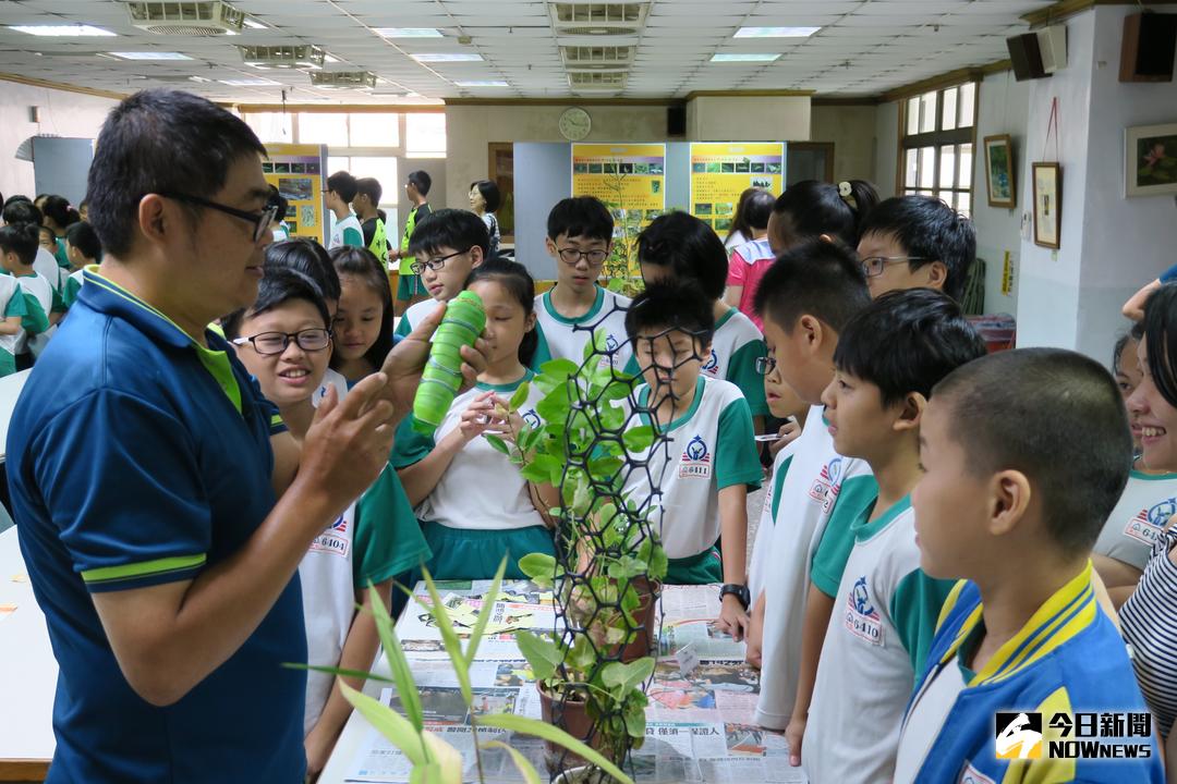 ▲南屯國小邀請蝴蝶專家陳寶樹進行「為愛蟲生、蝴氣再臨」專題講座。（圖／記者柳榮俊攝 , 2017.10.14）