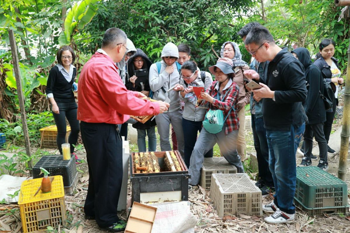 ▲新北市政府農業局歡迎民眾預約參觀養蜂場，體驗養蜂生活，瞭解蜜蜂生態，認識頭等獎的農友。（圖／新北市政府農業局提供）