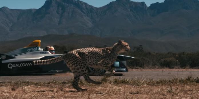 ▲誰才能獲得「地表最速」封號？獵豹對決賽車的影片給了答案。（圖／翻攝自Youtube , 2017.11.29）