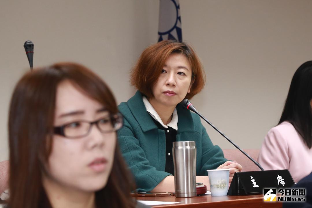 ▲民進黨立委林靜儀到荷蘭參加Liberal International人權會議年會，因此未能出席行政院長賴清德邀約的餐敘。（圖／NOWnews資料照）