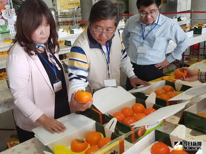 ▲和平區農會辦理甜柿果品評鑑活動，邀請專家學者根據外觀、風味、肉質及糖度等項目審查。(圖／台中市政府農業局提供2017.11.26)