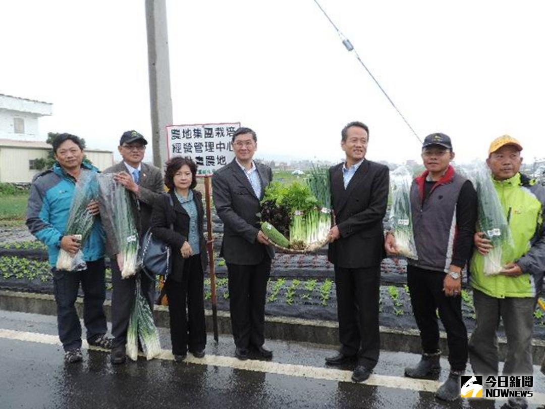 ▲農糧署東區分署輔導宜蘭市農會成立農地集團栽培經營管理中心。（圖／記者李清貴攝 , 2017.11.24）
