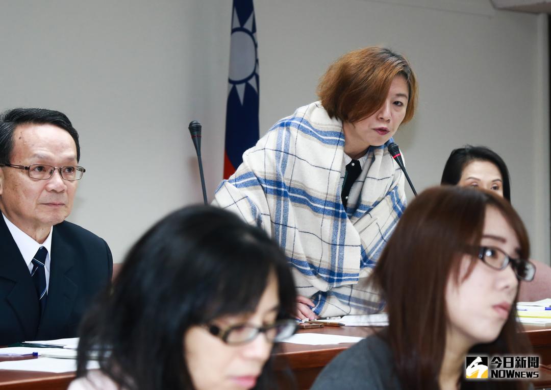 ▲立法院23日審議鬆綁勞基法一例一休法案，召委林靜儀主持會議。（圖／記者葉政勳攝,2017.11.23）