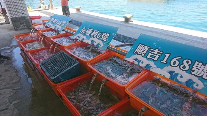 ▲冠上漁船名的萬里蟹，新鮮看的見。（圖／新北市政府提供）