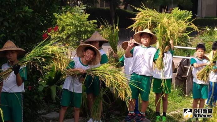 體驗「刈稻仔」生活　中市南屯國小學生當農夫
