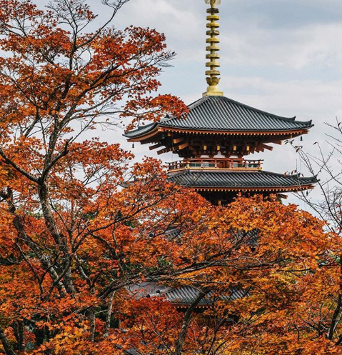 ▲許多人秋天都慕名前往日本賞楓，最近京都有一條「楓葉隧道」更是近期大人氣的熱門景點之一。（圖／翻攝自Instagram@kyoto_iitoko）