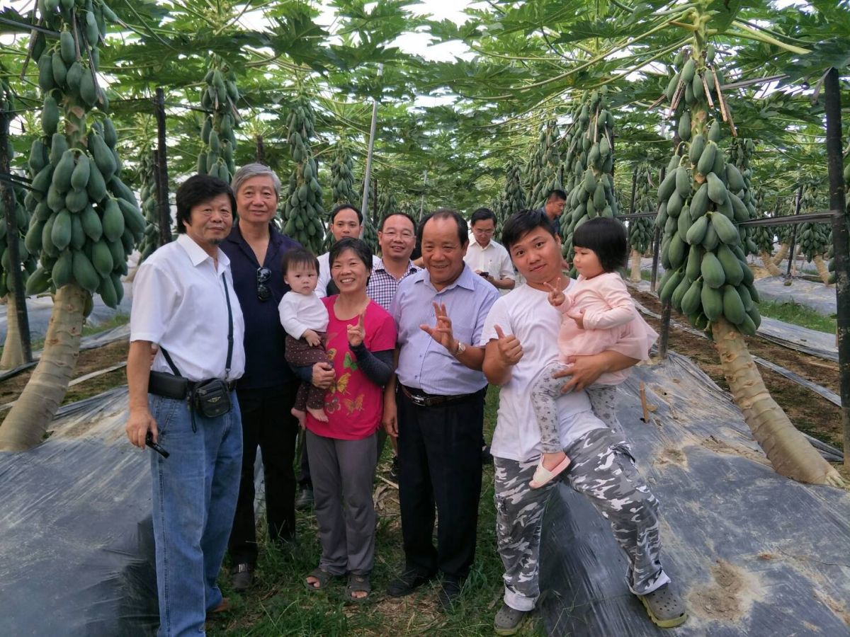 ▲中興大學蔡東纂教授帶領越南農業官員參觀王瑞陽果園，對結實纍纍的成果大加讚許。（圖／蔡東纂教授提供）