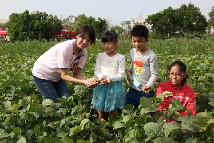 新市區農會舉辦毛豆節產業文化活動 地方 Nownews今日新聞