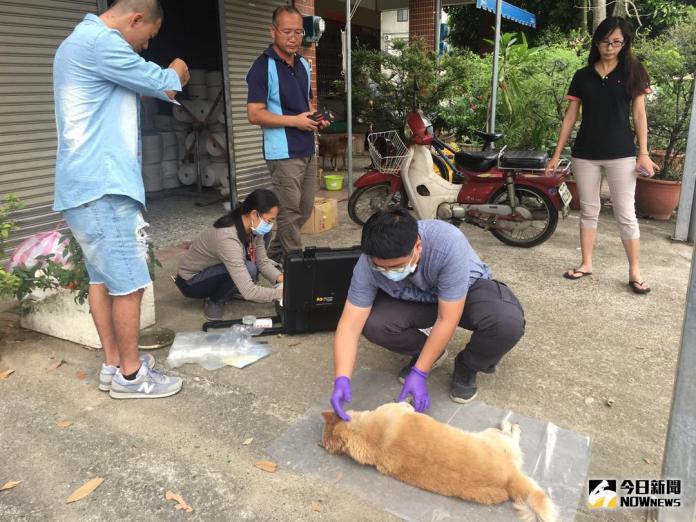 古坑鄉驚傳家犬遭人下毒
