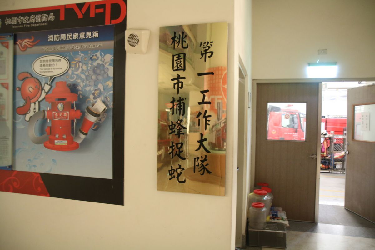 ▲桃園市成立全國第一個捕蜂抓蛇工作大隊，市長鄭文燦表示，實施兩年來成效良好，會向中央建議參考。（圖／記者包萬金攝 , 2017.11.02）