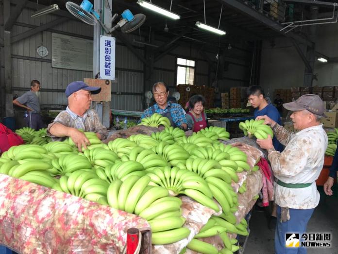 ▲協助去化香蕉產量，中油採購3萬公斤香蕉於加油站販賣。（圖／中油提供）
