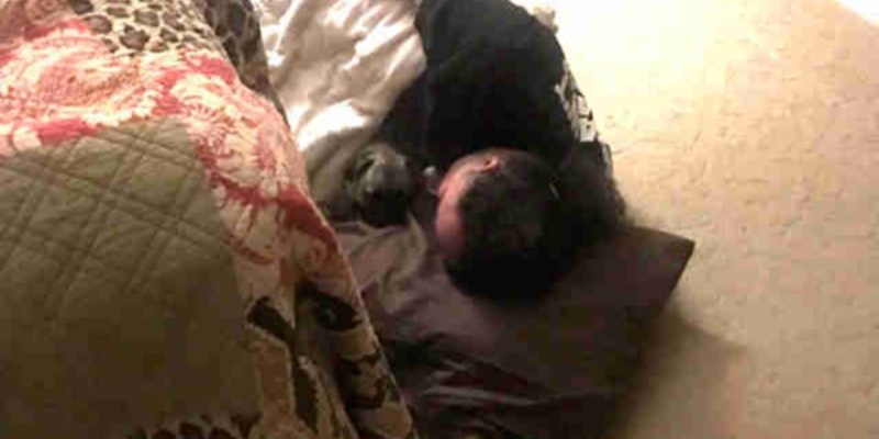 老爸一開始不贊成養狗　現在成狗痴還陪睡地板！