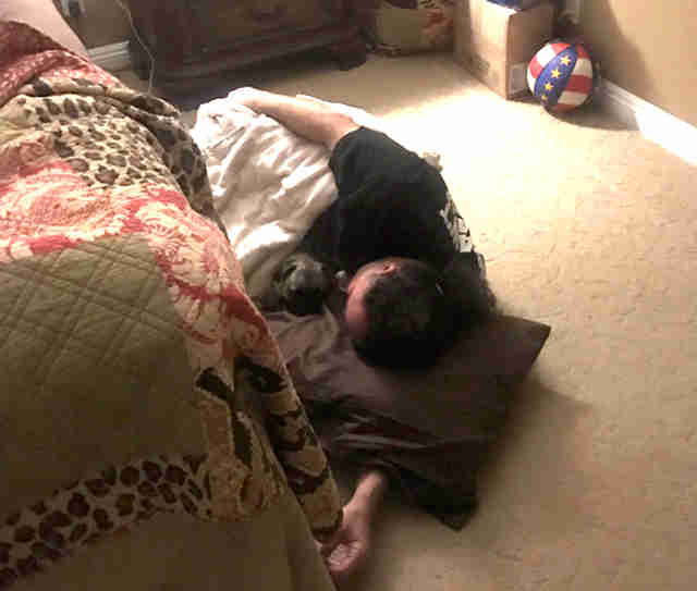 已經完全進化成狗奴的爸爸，對於媽媽的禁令當然捨不得，於是他決定陪紫羅蘭一起睡地板！