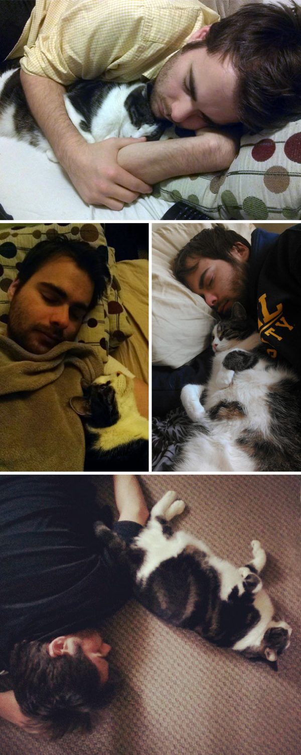 「無論我老公在哪裡睡覺，我家的貓都可以找到他然後睡在他旁邊。」