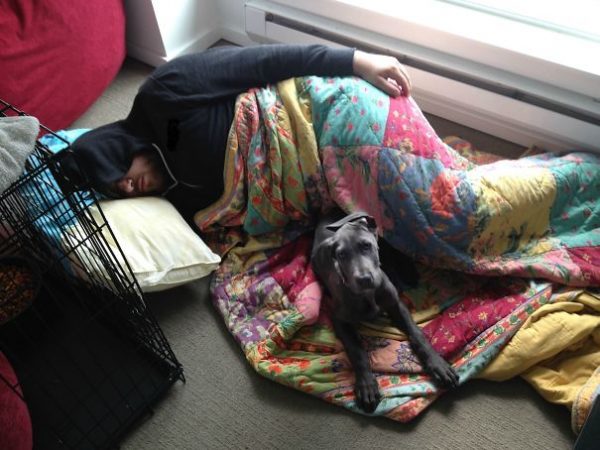 「我跟我男友說小狗不能上床睡，結果他寧願陪牠睡地板。」