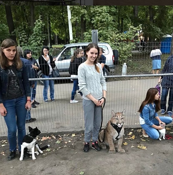 他們甚至還帶梅西去上課，和狗狗一起接受訓練