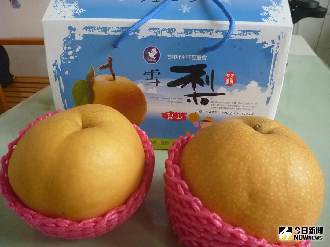 ▲梨山特選水果「雪梨」的果實甜度高、脆而多汁，深受消費者的喜愛。（圖／記者黃玿琮攝2017.12.31）