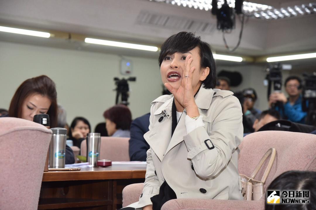 ▲民進黨立委邱議瑩曾說，認真的勞工在外面工作，抗議的都是放錄音帶的啦。（圖／NOWnews資料照）