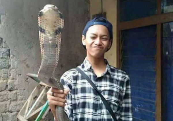 ▲印尼西爪哇省一名年僅14歲的少年阿瑞爾被自己養的眼鏡蛇咬死。（圖／翻攝自每日郵報 , 2017.12.22）