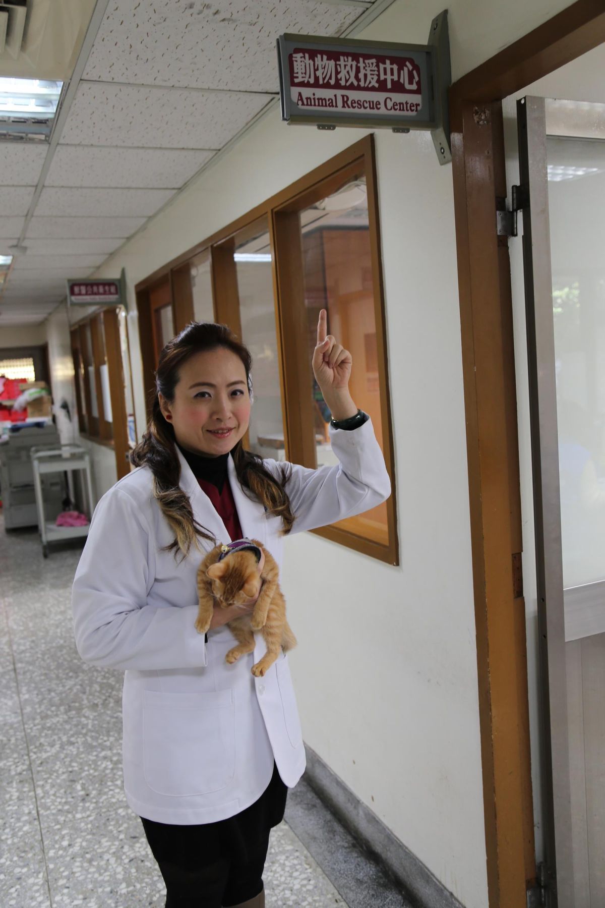 ▲新北市政府為因應明（107）年1月1日起，捕蜂捉蛇業務移撥動物保護防疫處，首創全國第一個動物救援中心，24小時服務不打烊。（圖／新北市政府動物保護防疫處提供）