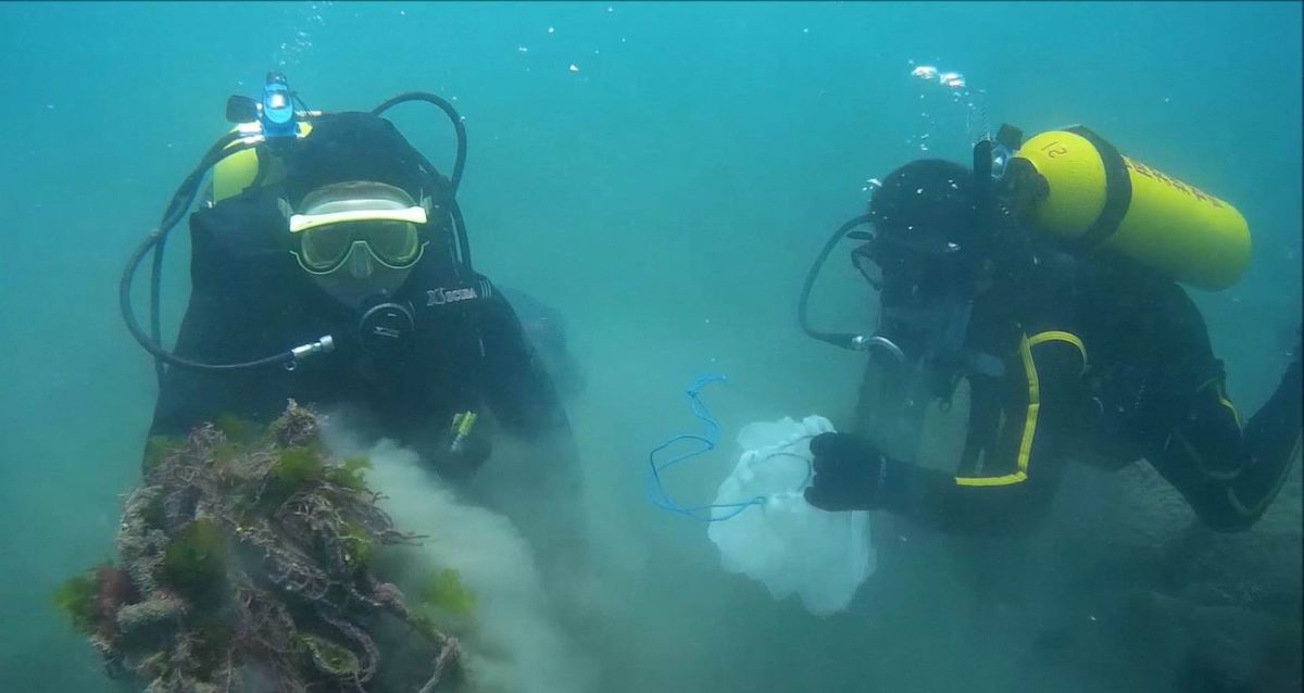 ▲潛水人員清除海底垃圾。（圖／記者李清貴翻攝 , 2017.12.19）