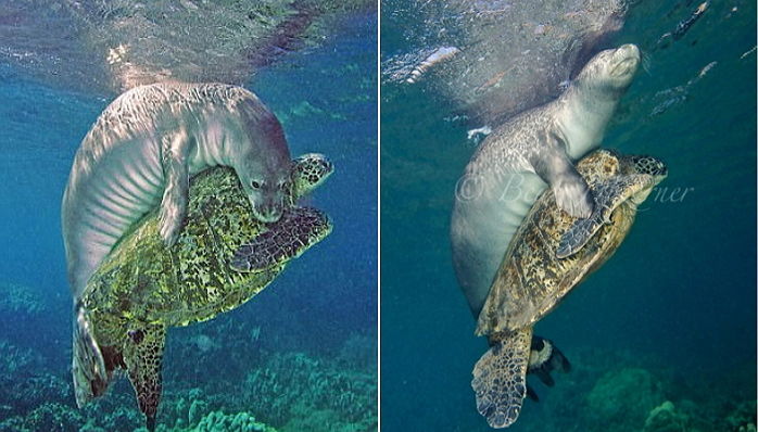 ▲（圖／Dailymail）