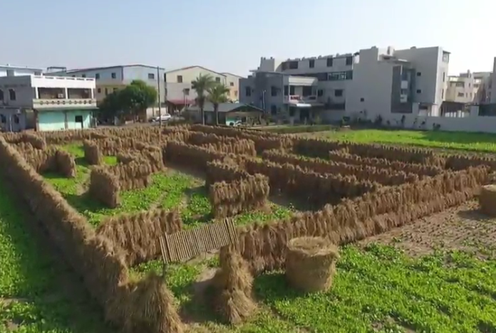 打造首座稻草迷宮　太保市與大家見面
