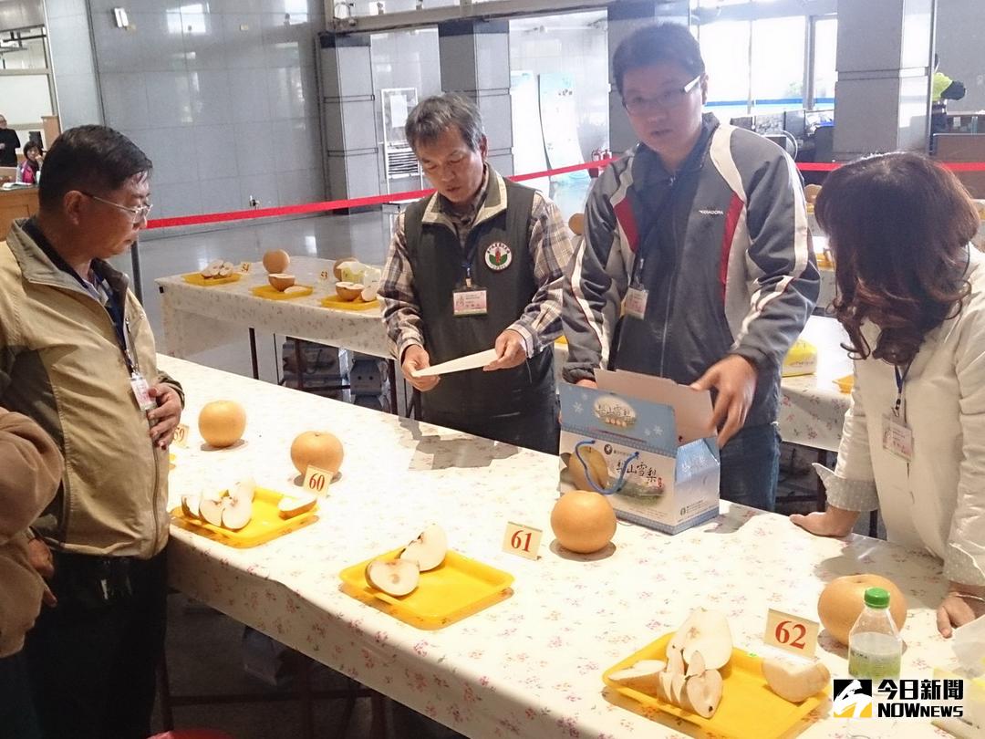 ▲優質雪梨評鑑活動中，由專家學者針對外觀、風味、肉質及糖度等項目進行評審。（圖／記者黃玿琮攝2017.12.5）